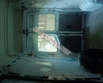 продам Opel Movano в пмр  фото 1