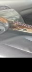 продам Toyota Camry в пмр  фото 4