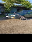 продам Volkswagen Golf в пмр  фото 4