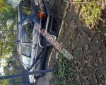 продам Volkswagen Passat в пмр  фото 2