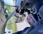 продам Volkswagen Passat в пмр  фото 2