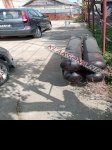 продам  Комплектующие двигатели и их запчасти в пмр  фото 1