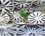 продам  Комплектующие диски и шины в пмр  фото 1
