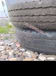 продам  Комплектующие диски и шины в пмр  фото 3