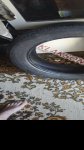 продам  Комплектующие диски и шины в пмр  фото 2