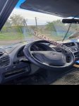 продам Mercedes-Benz Sprinter в пмр  фото 1