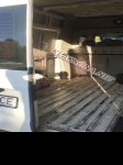продам Ford Transit в пмр  фото 5
