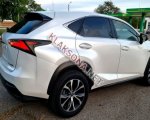 продам Lexus NX в пмр  фото 3