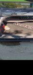 продам Ford Focus в пмр  фото 2