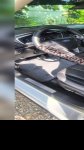 продам Ford Fusion в пмр  фото 4