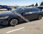 продам Honda Accord в пмр  фото 6