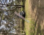 продам Lexus RX 350 в пмр  фото 1