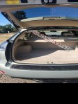 продам Lexus RX 400h в пмр  фото 6