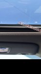 продам Lexus RX 400h в пмр  фото 6