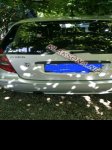 продам Mercedes-Benz A-klasse A 180 в пмр  фото 2
