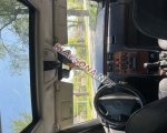 продам Mercedes-Benz E-klasse E 220 в пмр  фото 1