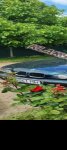 продам BMW 5er 520 в пмр  фото 1