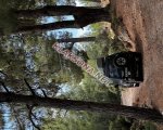 продам Mitsubishi Pajero в пмр  фото 1