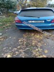 продам Nissan Almera в пмр  фото 4
