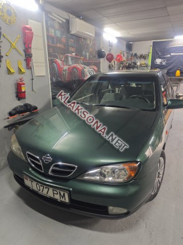 продам Nissan Primeraв пмр  фото 4