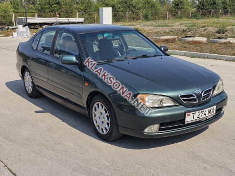 продам Nissan Primeraв пмр  фото 5