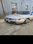 продам Nissan Primera в пмр  фото 2